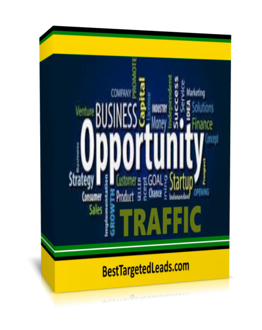 business opportunity traffic, the traffic convert, learn how to convert your traffic, Competitors Top Keywords. SEO Optimization