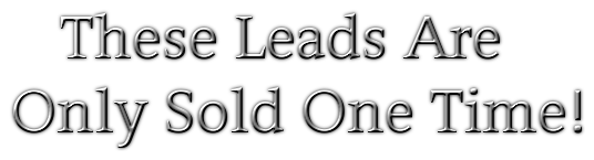 Buy MLM Leads, Network Marketing Leads, Business Leads